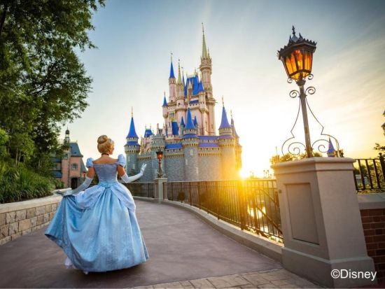 フロリダ ウォルト・ディズニー・ワールド・リゾート（Walt Disney World Resort）入園チケット事前予約　1パークチケット＜1日券＞