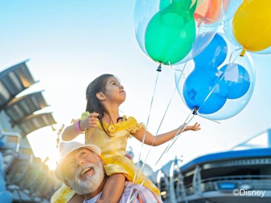 フロリダ ウォルト・ディズニー・ワールド・リゾート（Walt Disney World Resort）入園チケット事前予約　1パークチケット＜1日券＞
