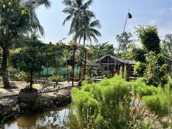 カヤック体験付きメコン川クルーズツアー　ココナッツキャンディ工房などミトー定番観光＆バインセオ料理体験＜1日／往復送迎／日本語ガイド／象耳魚の昼食＞