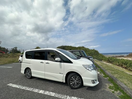 【1日1組限定】日産セレナでめぐる奄美大島 島内観光ツアーオリジナルプランで自由に観光＜約4時間＞ by 奄美バギーアンドナイトウォッチングガイドサービス