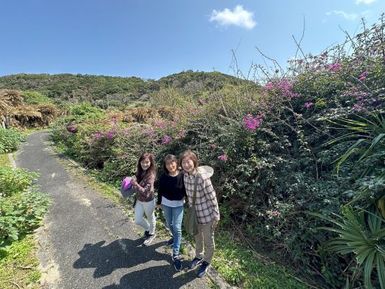 【1日1組限定】日産セレナでめぐる奄美大島 島内観光ツアーオリジナルプランで自由に観光＜約4時間＞ by 奄美バギーアンドナイトウォッチングガイドサービス