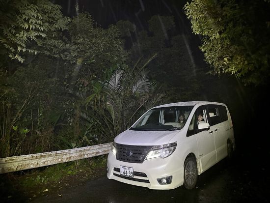 【1日1組限定／名瀬市街・龍郷町・笠利町一部エリア送迎可能】奄美の夜の森アマミノクロウサギ探検ツアー by 奄美バギーアンドナイトウォッチングガイドサービス