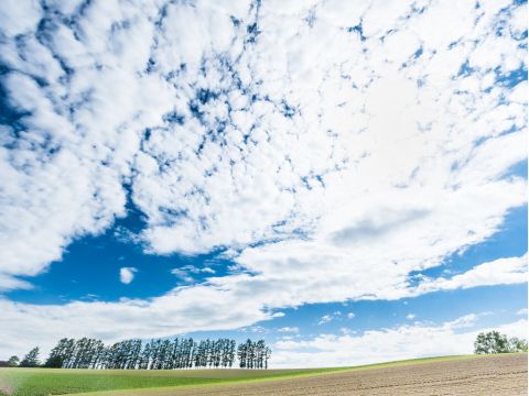 貸切観光タクシー　旭川市内出発又は到着　日帰りプライベートタクシープラン＜通年／旭川市内～郊外／最大9名／1～10時間／1台あたり料金＞