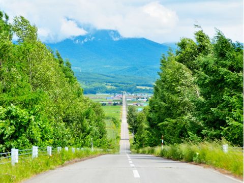 貸切観光タクシー　旭川市内出発又は到着　日帰りプライベートタクシープラン＜通年／旭川市内～郊外／最大9名／1～10時間／1台あたり料金＞