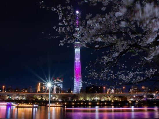 【3/20～4/5限定】2階建てオープンバス 都内の桜の名所を巡る！千鳥ヶ淵＋隅田川＋上野公園＋靖国神社など 浅草下車プラン有＜東京駅発日本橋or浅草着＞