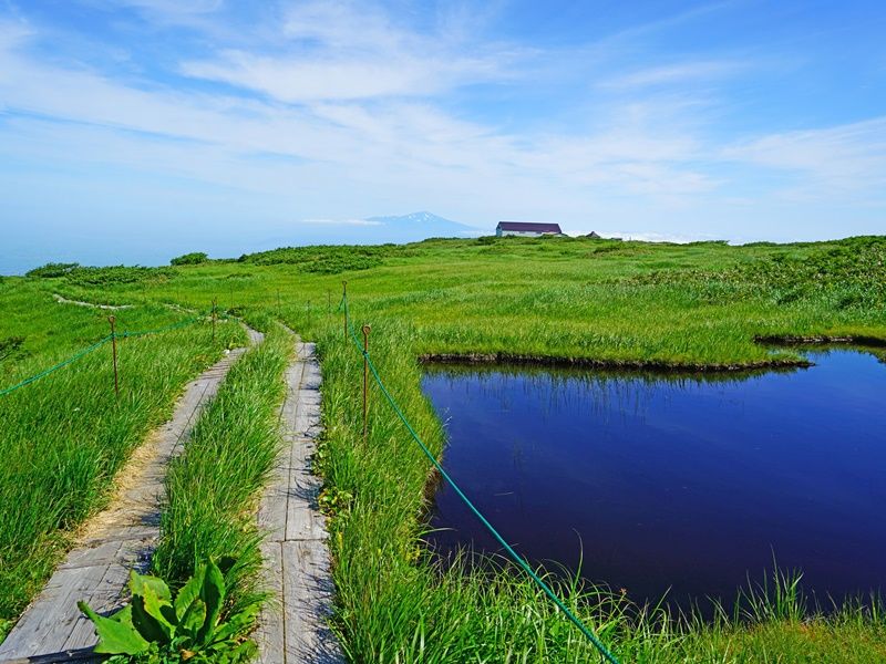 pixta_43741673_M