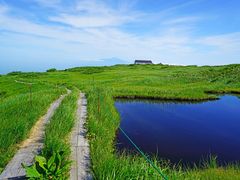 pixta_43741673_M