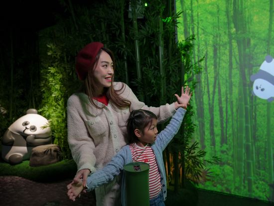 20241216-Panda-06035