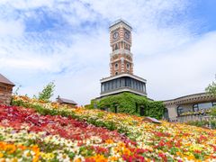 pixta_66889953_M