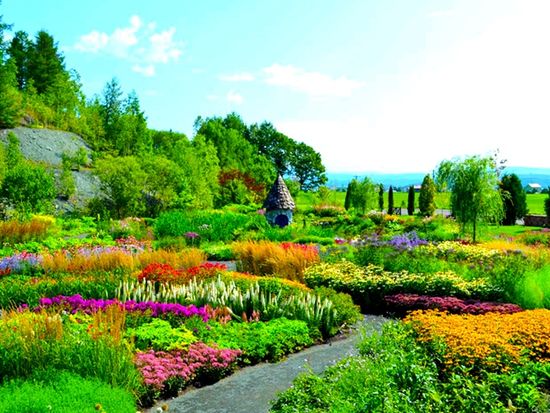 旭川上野ファーム