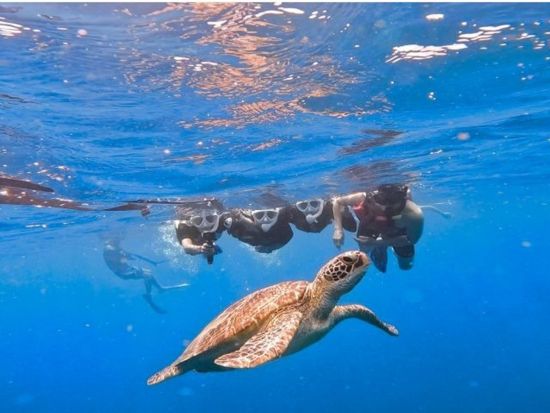 青の洞窟探検＋ウミガメシュノーケル＋川平湾クリアSUP 大人気アクテビティがセットになった大満足プラン！グラスボート割引チケット付プランも◎＜約5時間／送迎可＞