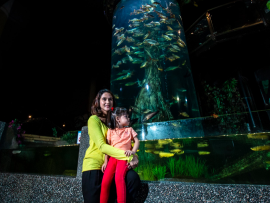 KLCC水族館入場チケット　アジア最大級の水中トンネルで海中冒険を楽しむ！