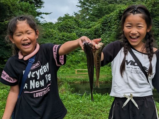 PXL_20240807_042246708-scaled