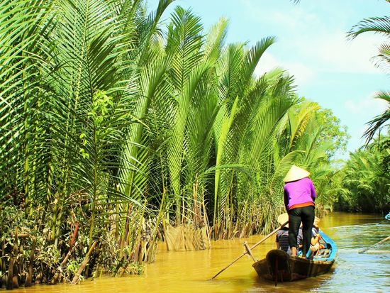 Vietnam_Mekong Delta_River Cruise_pixta_18866286