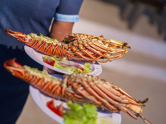 Captain Cook Cruises Sunset Dinner Cruise