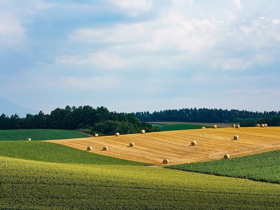 パッチワークコース1