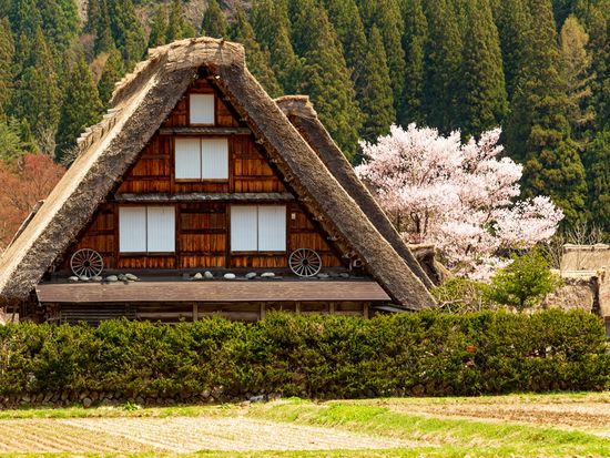 Japan_Gifu_Shirakawa-go_pixta_58150542_M