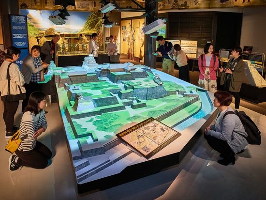 NS1P9_9efa251a-8691-4647-966d-8e40e07f6bd3