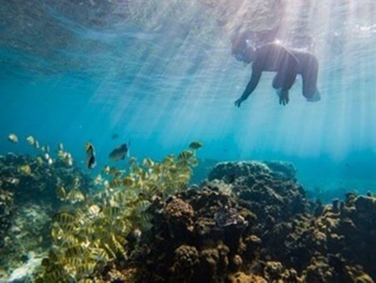 signed-url-redirect (20)