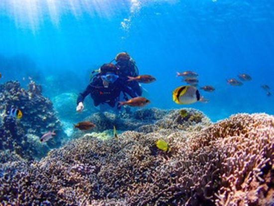 signed-url-redirect (18)