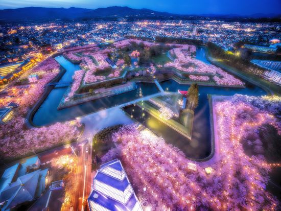 函館 五稜郭タワー展望チケット事前予約　地上90mあら360度函館を一望！五稜郭の美しい五角形を眺めよう＜年中無休／函館＞の写真3