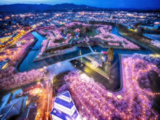 函館 五稜郭タワー展望チケット事前予約　地上90mあら360度函館を一望！五稜郭の美しい五角形を眺めよう＜年中無休／函館＞
