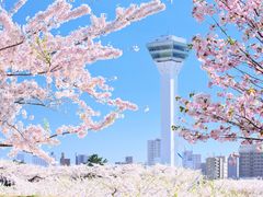 函館 五稜郭タワー展望チケット事前予約　地上90mあら360度函館を一望！五稜郭の美しい五角形を眺めよう＜年中無休／函館＞の写真