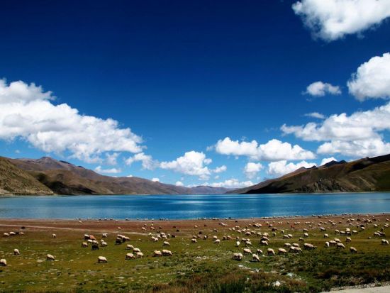 【上海発】天空と祈りの聖地・チベット3泊4日＜ 日本語ガイド / 食事付き / 宿泊付き＞