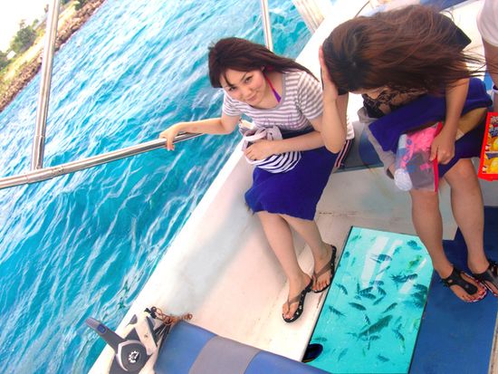 Glass Bottom Boat w.o (2)