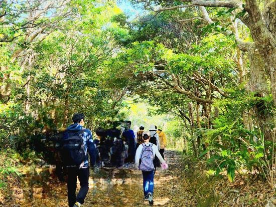 森林公園散策