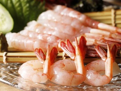 増毛春の味まつり日帰りバスツアー 地酒×海鮮グルメ旅 甘えび1kgのお土産付き＜5月24日・25日限定／札幌発着＞