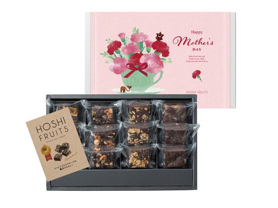 10382046-021_ホシフルーツ母の日　ナッツとドライフルーツの贅沢ブラウニー１２個_HF_ブラウニー12_母_S (2)