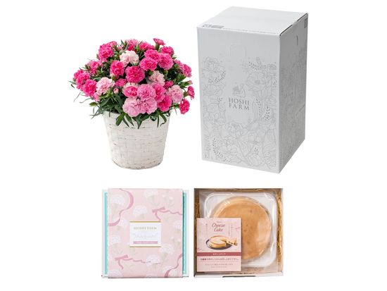 10481292-021_ホシファーム　カーネーション＆大人のチーズケーキ_FMP-02A_tan1_S