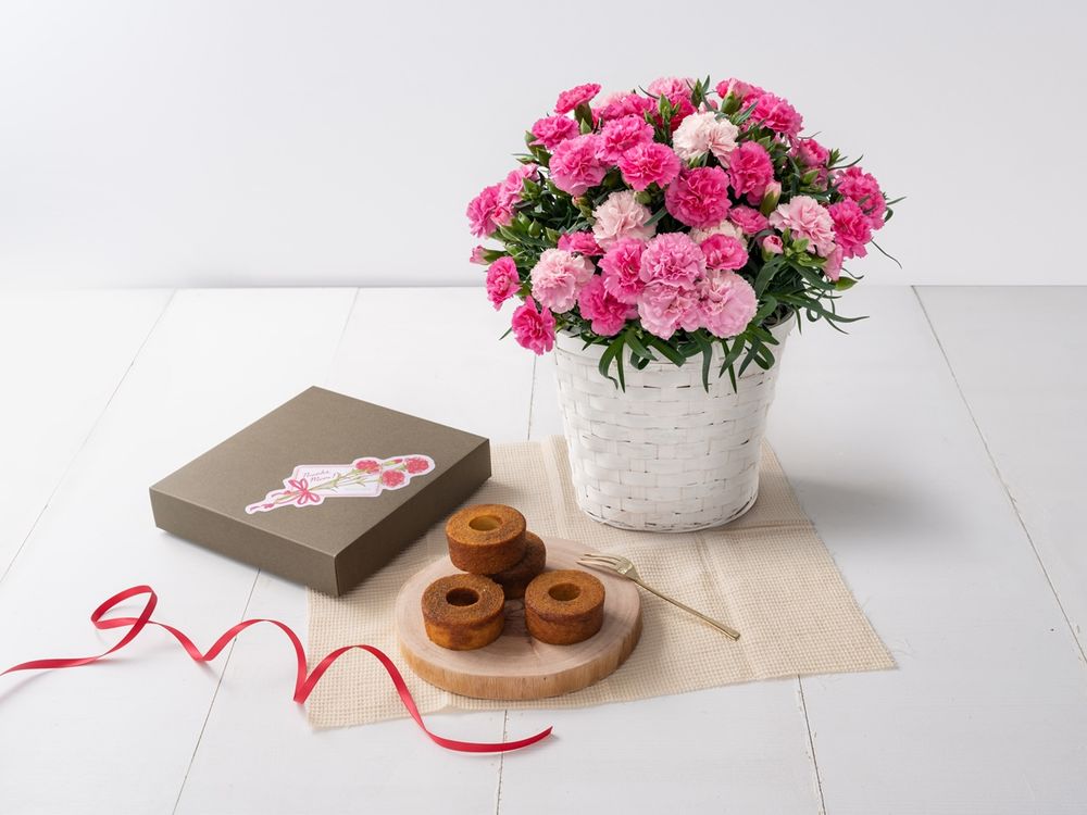 10450036-001_ホシファーム　カーネーション＆焦がしキャラメルがしみ込んだバーム４個_ホットハート＆キャラメルバーム_S