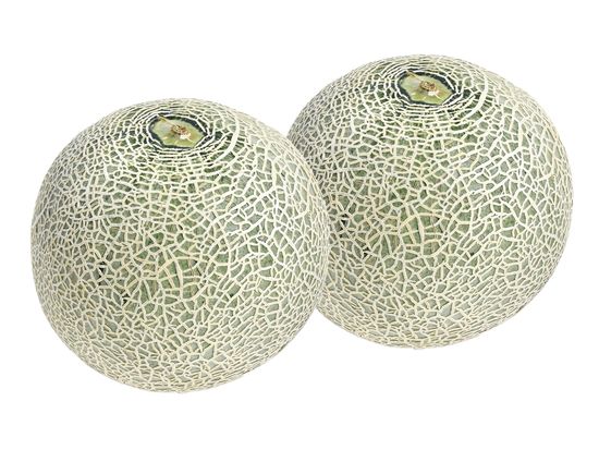 30014619-021_【母父】２色のメロン詰合せ_2色のメロン_商品_S