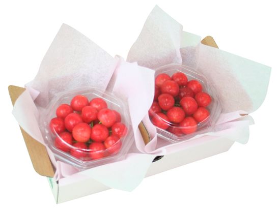 30014612-021_【母の日】山形県産　ハウスさくらんぼ「佐藤錦」［１００ｇ×２］_さくらんぼダイヤパック_tan_1_S