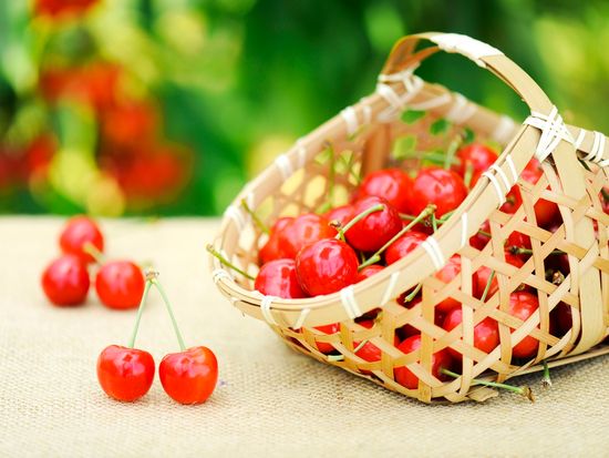 30014612-002_【母の日】山形県産　ハウスさくらんぼ「佐藤錦」［１００ｇ×２］_さくらんぼ_img_2_S