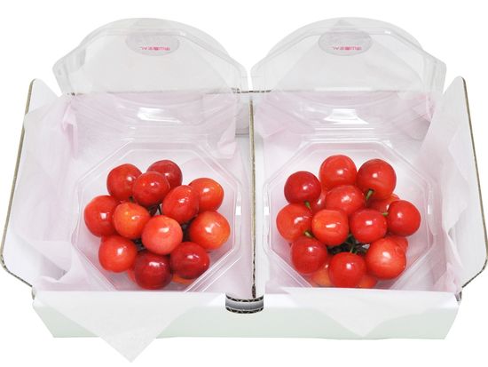 30014612-022_【母の日】山形県産　ハウスさくらんぼ「佐藤錦」［１００ｇ×２］_ダイヤパック100g×2_S