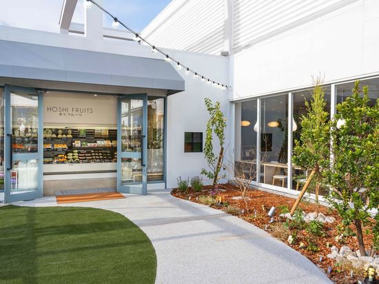 50060H-001_ホシフルーツ（専用包装紙あり）_★外観_B