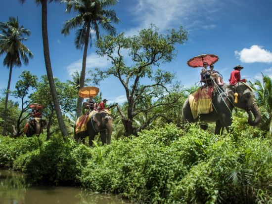 本格象乗り体験＋メークロン線路市場半日観光ツアー　列車の乗車体験付き　タイ料理の昼食付きプランあり＜午前／日本語ガイド＞