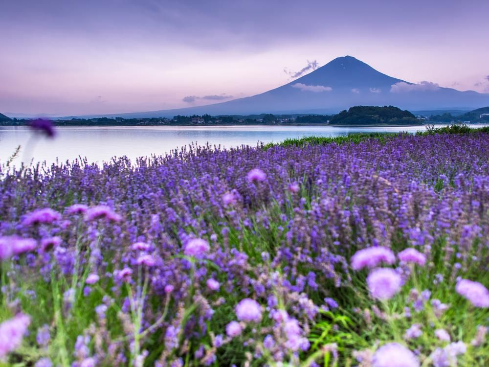 PIXTA_image_02