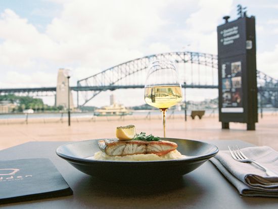 MIDDEN FISH - Credit Terry House for Dolton House Hospitality