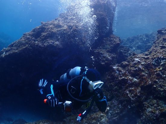 青の洞窟体験ダイビング ボートで楽々アクセス！初心者・お子様連れも安心の貸切ガイドツアー＜1～2ダイブ／4時間／写真＆動画プレゼント／恩納村＞