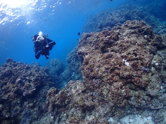 青の洞窟体験ダイビング ボートで楽々アクセス！初心者・お子様連れも安心の貸切ガイドツアー＜1～2ダイブ／4時間／写真＆動画プレゼント／恩納村＞