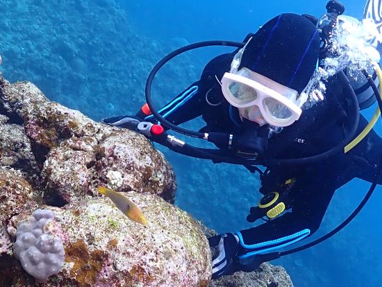 青の洞窟体験ダイビング ボートで楽々アクセス！初心者・お子様連れも安心の貸切ガイドツアー＜1～2ダイブ／4時間／写真＆動画プレゼント／恩納村＞