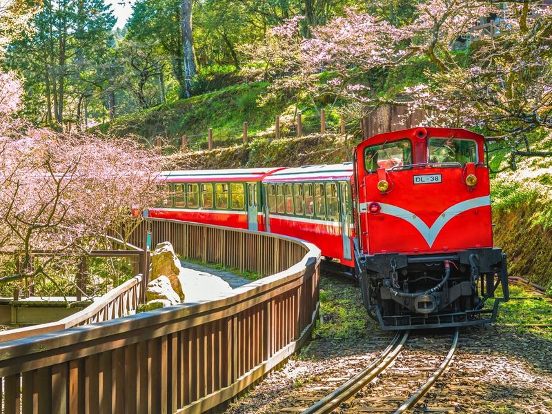 阿里山小火車(2)