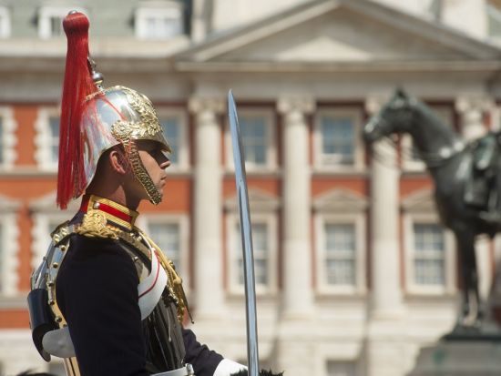 ベストポジションで見学するバッキンガム宮殿の衛兵交代式ツアー　ガイドの解説付き！＜午前／約1時間半／英語ガイド＞