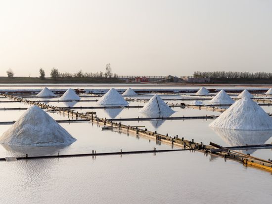 井仔腳瓦盤鹽田