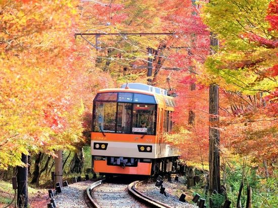 SR4R8_9a0b8b78-9141-46c3-8782-16a4b1e68213