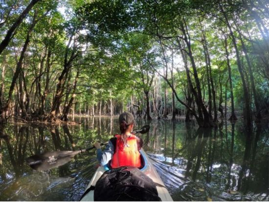 【貸切】半日クーラの滝ツアー マングローブ鑑賞＆親子で楽しむ生き物探し！カヤック&トレッキング体験で自然大満喫◎＜約3時間30分／送迎可／写真プレゼント＞